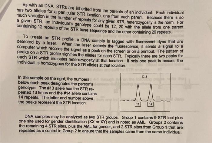 Solved Activity 4 - Interpreting STR Evidence Jane Doe was | Chegg.com