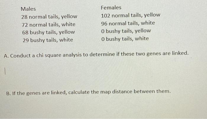 Solved A Sex Influenced Trait Is Dominant In Males And 9819