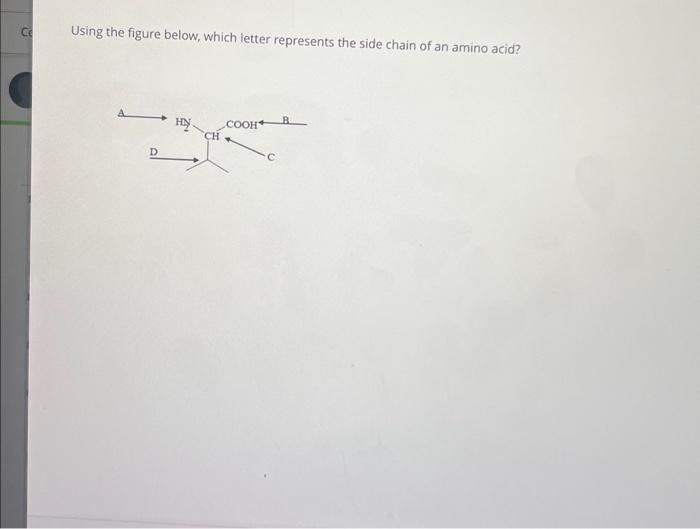 Solved Using the figure below, which letter represents the | Chegg.com