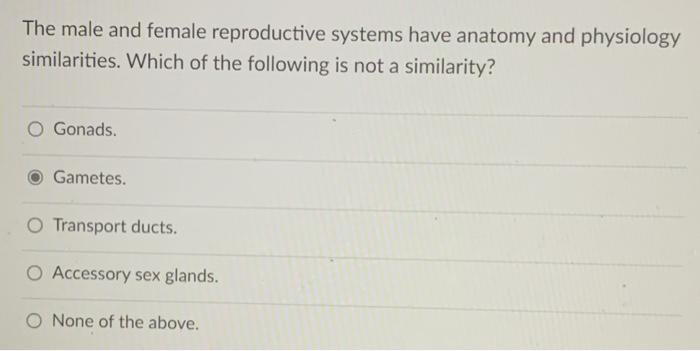 Solved The male and female reproductive systems have anatomy | Chegg.com