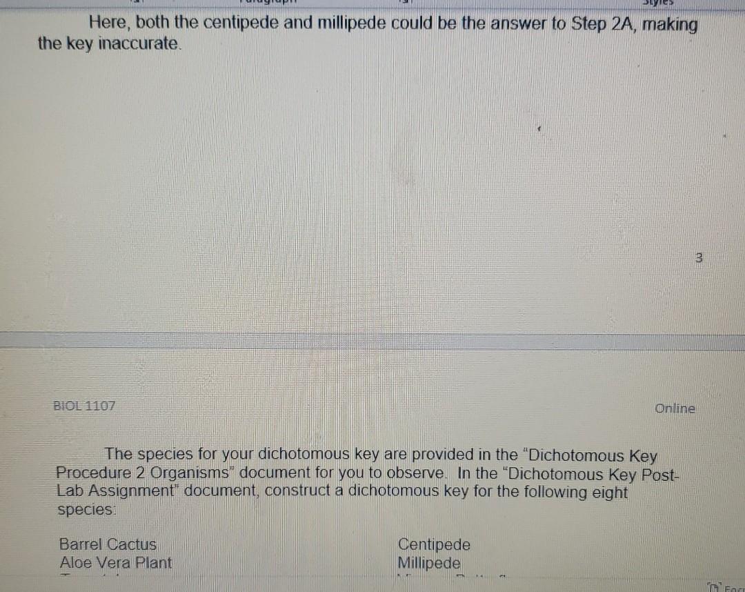 Solved Styles Procedure 2: Creating a Dichotomous Key You | Chegg.com