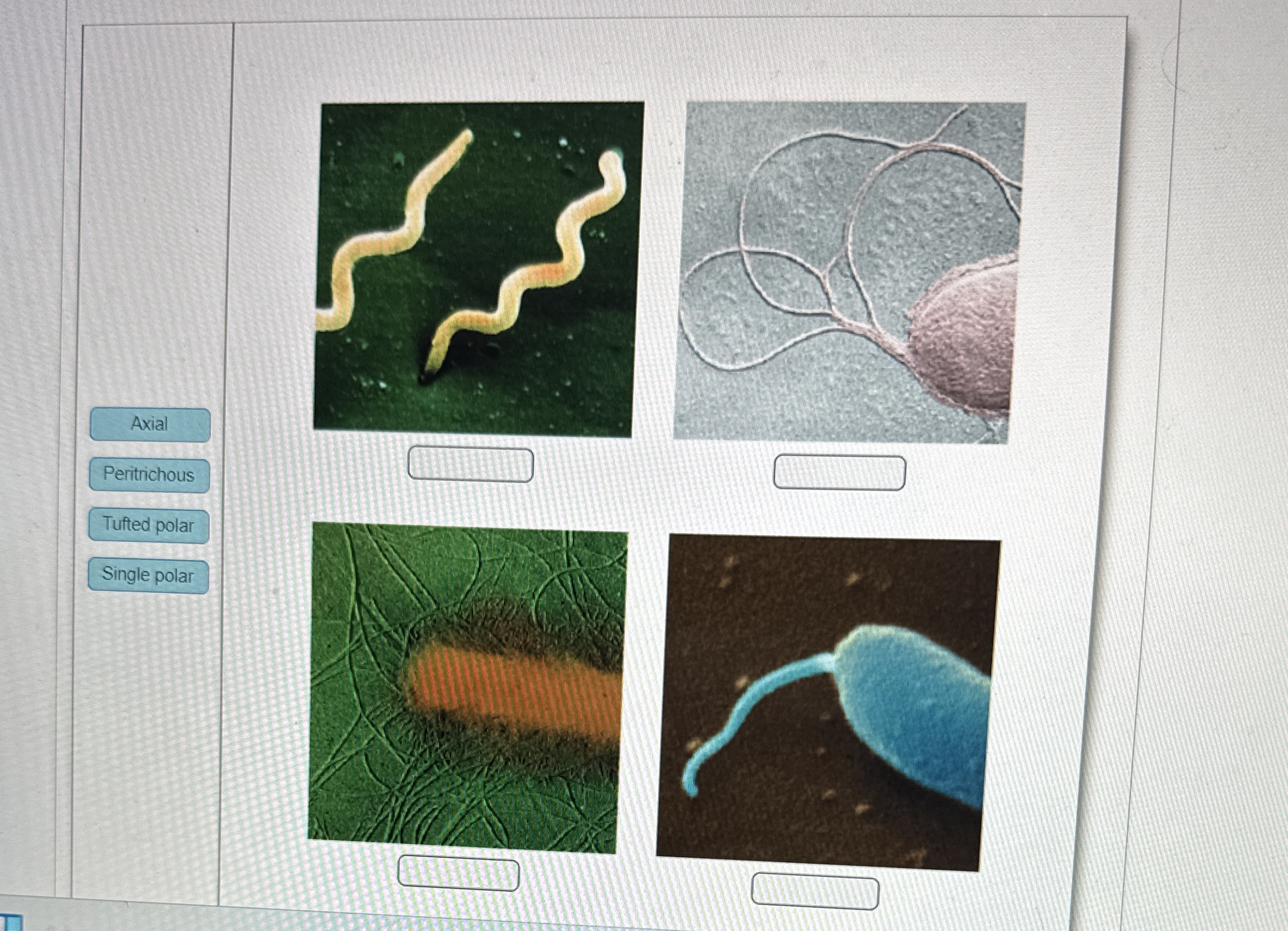 Solved what does 1,2,3,4 ﻿means from side slides answer