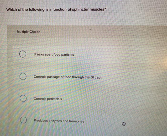 which of the following is a function of the sphincter muscles