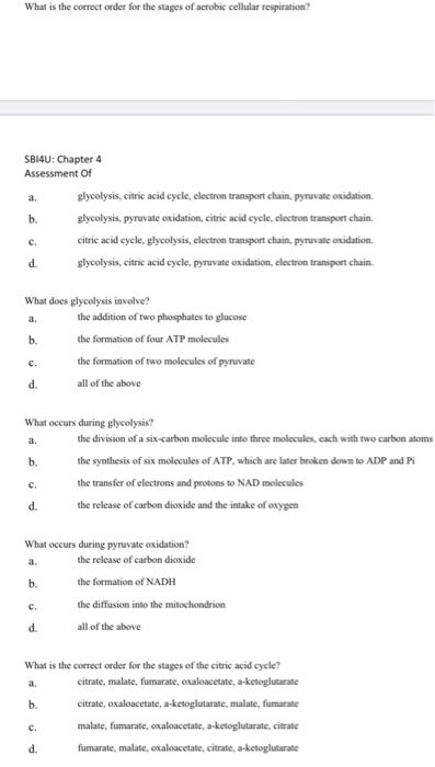 Solved What is the correct order for the stages of aerobic | Chegg.com