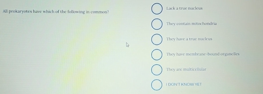 Solved All prokaryotes have which of the following in | Chegg.com