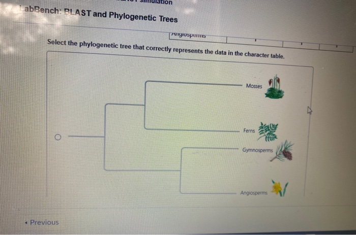 Solved ench: BLAST and Phylogenetic Trees 1 of 1 Part D N. | Chegg.com