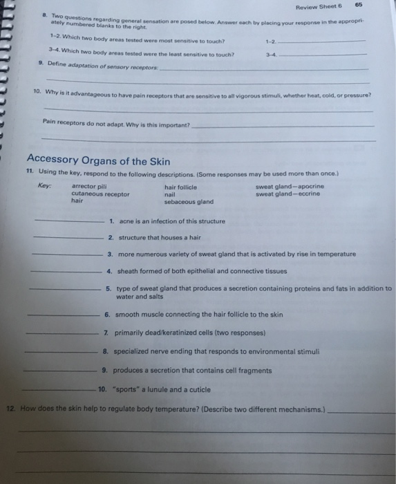 Solved EXERCISE REVIEW SHEET The Integumentary System Lab | Chegg.com