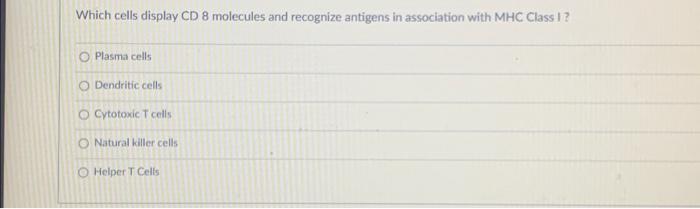 which of the following hormones promotes the maturation of t cells