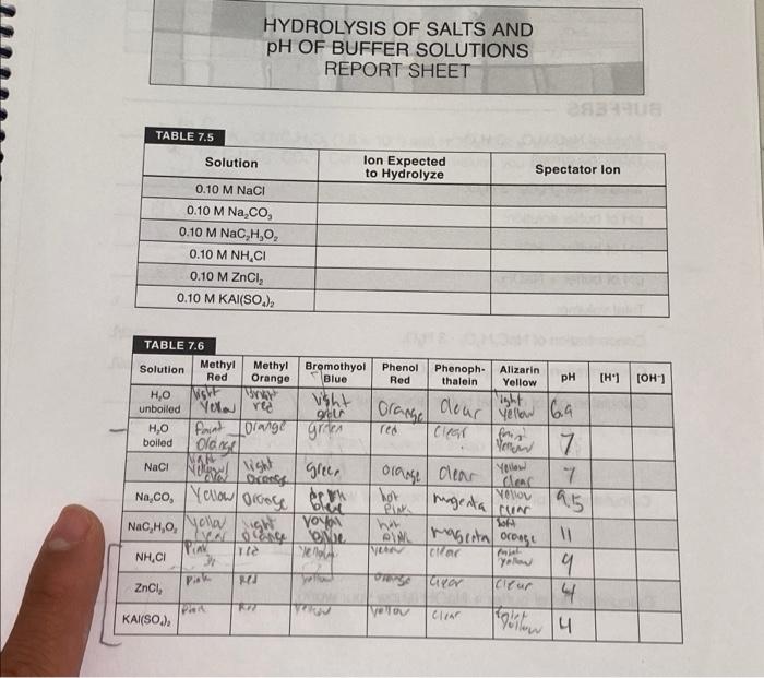 Solved Hydrolysis Of Salts And Ph Of Buffer Solutions Report Chegg Com