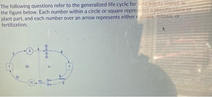 Solved The following questions refer to the generalized life | Chegg.com