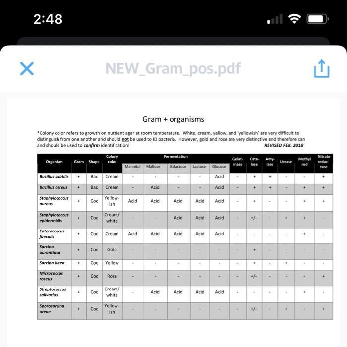 Solved use the" Gram + organism" picture to make a gram | Chegg.com