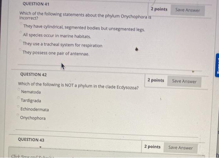 Solved Save Answer QUESTION 41 2 points Which of the | Chegg.com