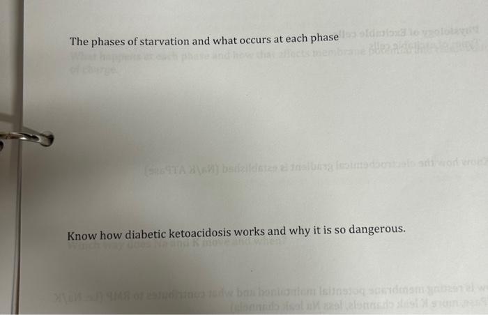 Solved The phases of starvation and what occurs at each | Chegg.com