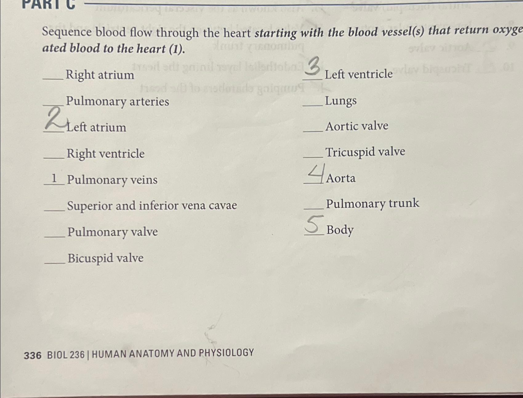 solved-sequence-blood-flow-through-the-heart-starting-with-chegg