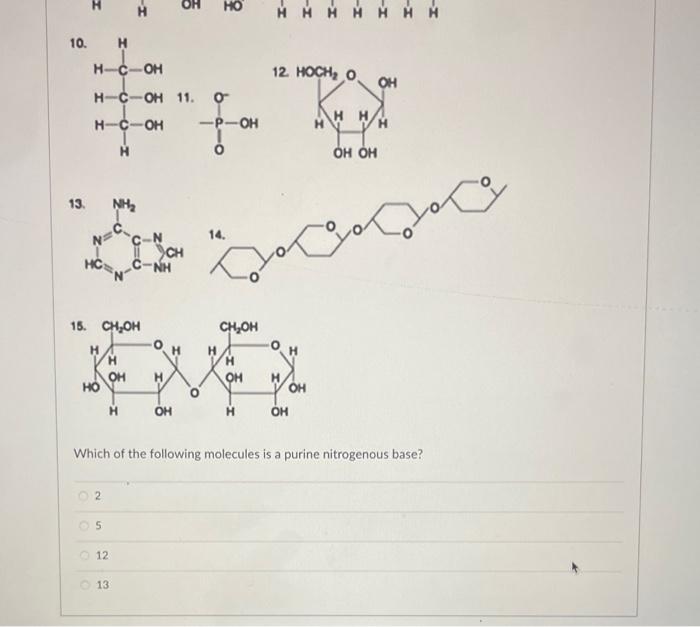 Which of the following molecules is a purine nitrogenous base?
2
5
12