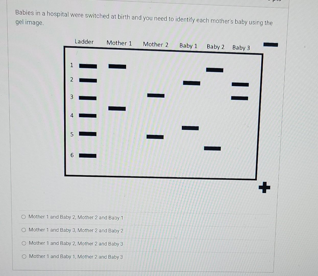 Solved Babies in a hospital were switched at birth and you