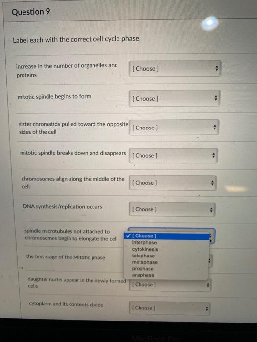Solved Question 9 Label each with the correct cell cycle | Chegg.com