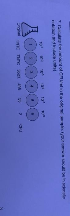 7. Calculate the amount of CFU/ml in the original sample: (your answer should be in scientific notation and include units) 10