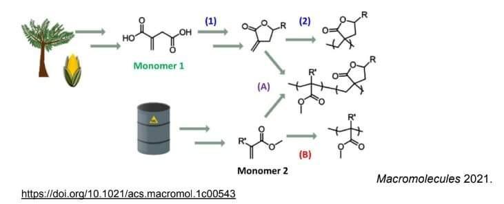 Solved What is described in the following schematic | Chegg.com