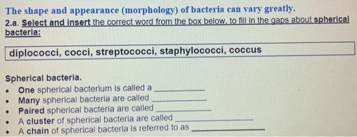 The shape and appearance (morphology) of bacteria can vary greatly.
2.a. Select and insert the correct word from the box belo