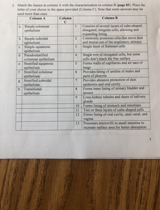 Solved 2. Match the tissues in column A with the | Chegg.com