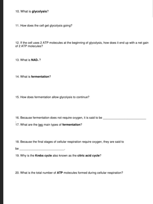 Solved 10. What is glycolysis? 11. How does the cell get | Chegg.com