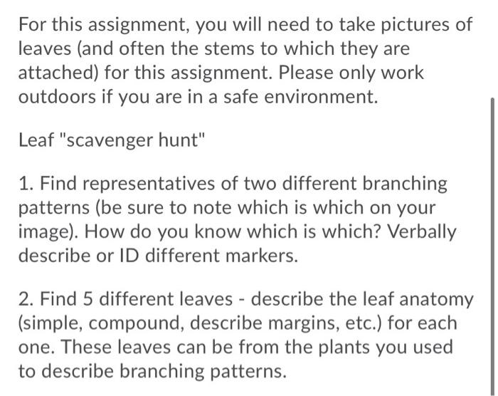 Solved For this assignment, you will need to take pictures | Chegg.com