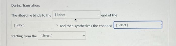 Solved During Translation: The ribosome binds to the end of | Chegg.com
