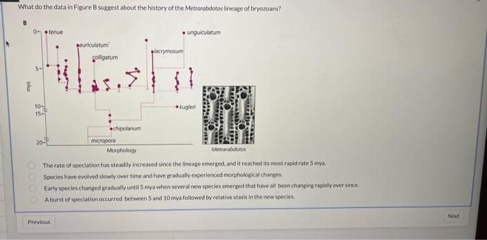 Solved What do the data in Figure B suggest about the