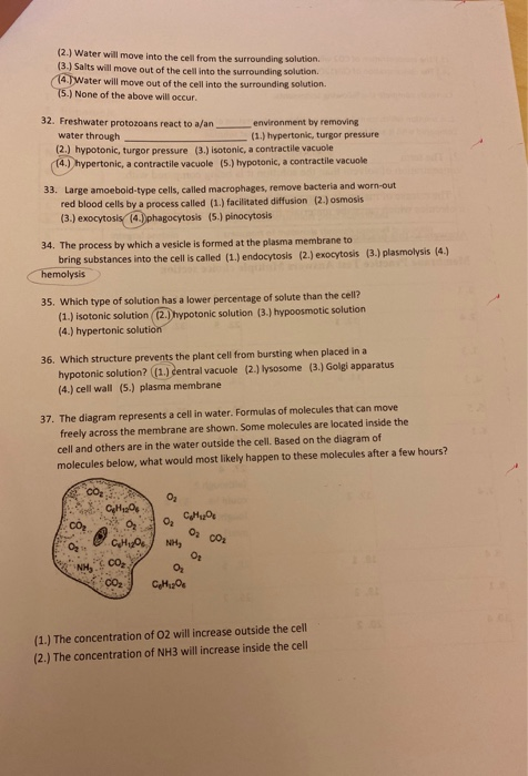 Solved 23. Which cell process is represented by the diagram ...
