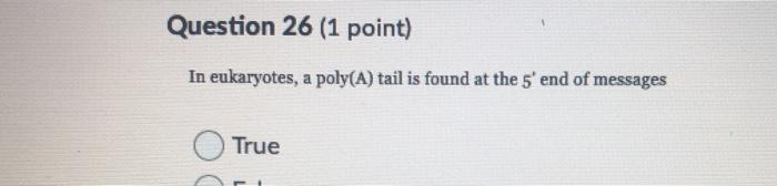Solved Question 26 (1 point) In eukaryotes, a poly(A) tail | Chegg.com