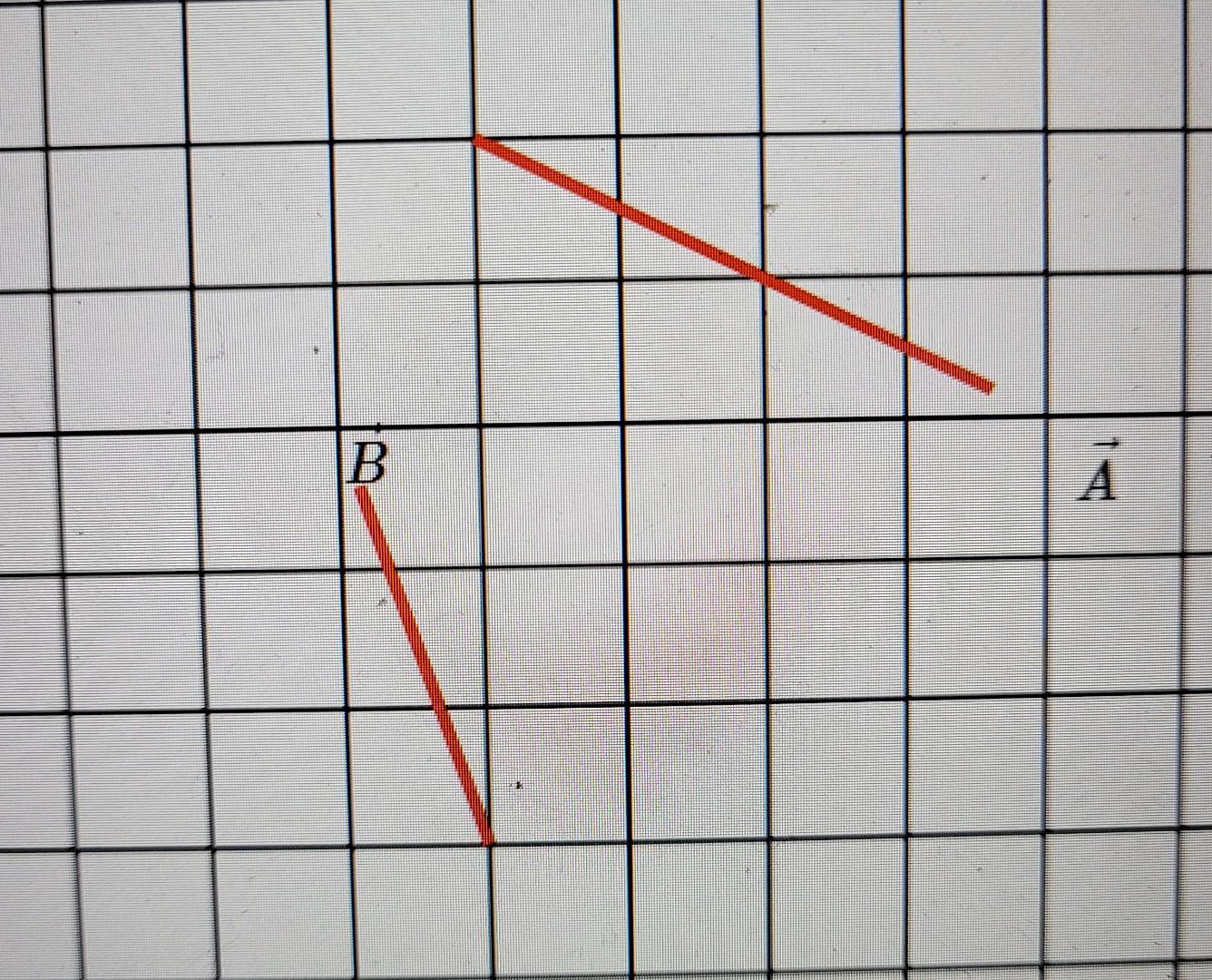 c vector homework