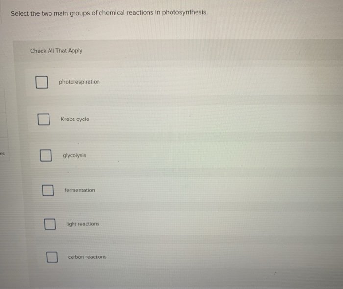 What Organisms Conduct Photosynthesis