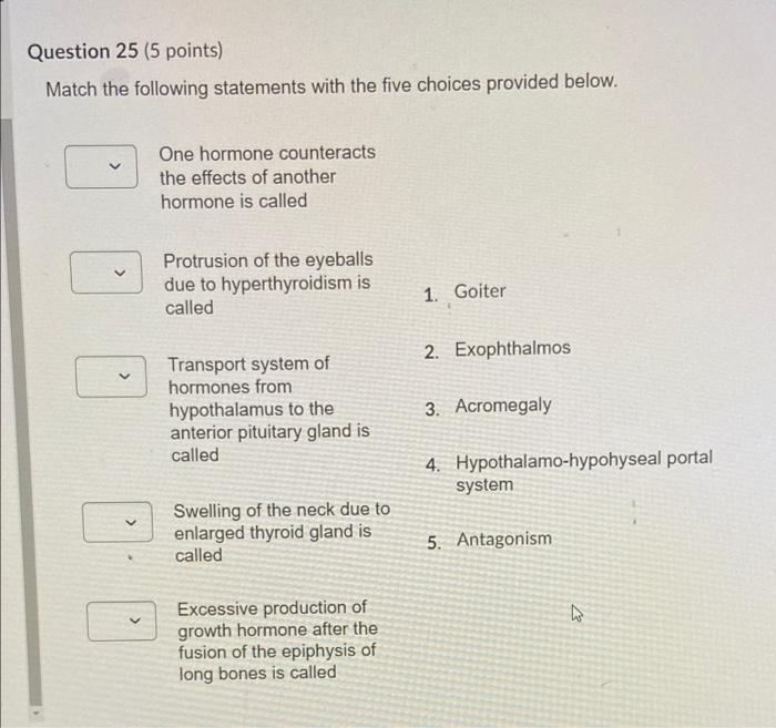 Solved Question 22 (5 points) Match the following terms with | Chegg.com