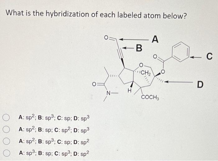 Solved What is the hybridization of each labeled atom below? | Chegg.com