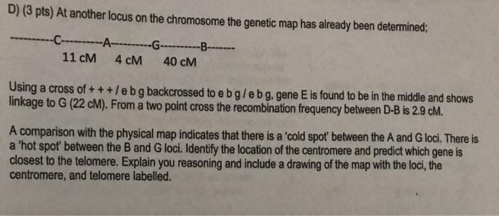 Solved D) (3 pts) At another locus on the chromosome the | Chegg.com