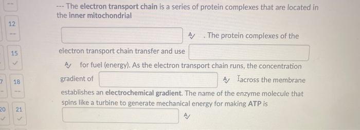 Solved --- The electron transport chain is a series of | Chegg.com