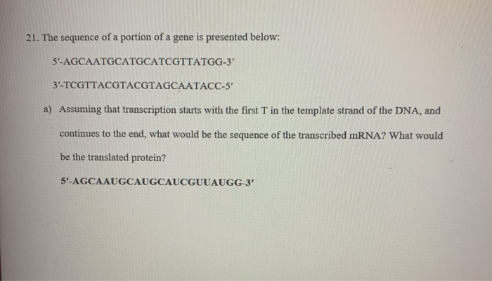 Solved 21. The sequence of a portion of a gene is presented | Chegg.com