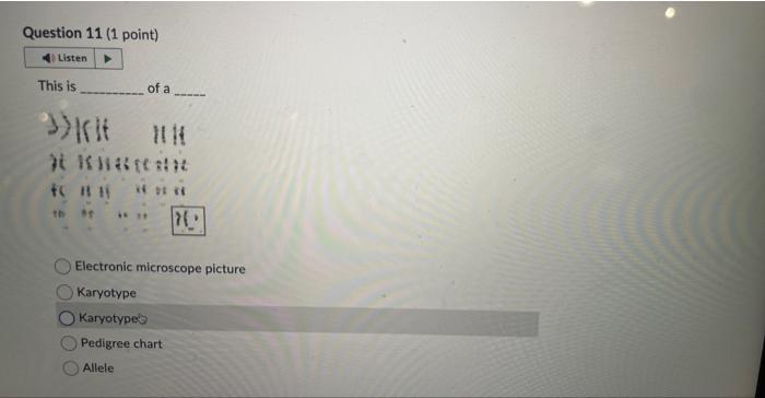 s)Ifli 11 It कi islitifestic to ∥1 औ चil ?1. | Chegg.com