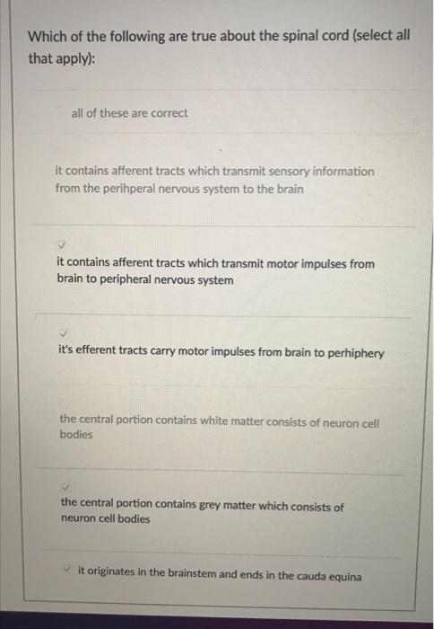 Solved Which of the following are true about the spinal cord | Chegg.com