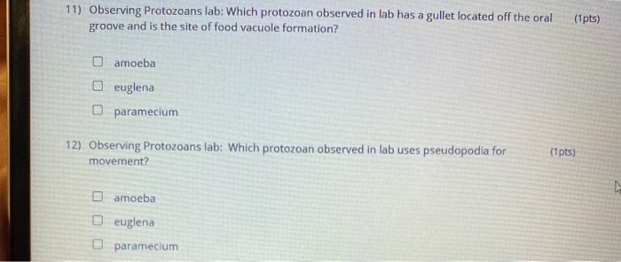 Solved 11) Observing Protozoans lab: Which protozoan | Chegg.com