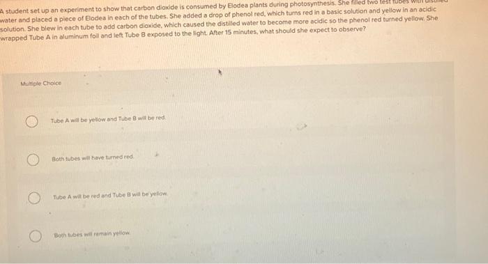 Solved A student set up an experiment to show that carbon | Chegg.com