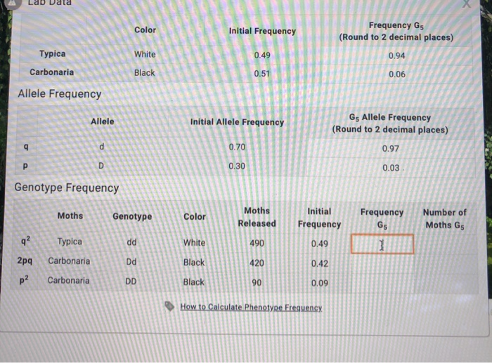 Solved Lab Data Х Moths Released G G2 G GA G Typica 490 301 | Chegg.com