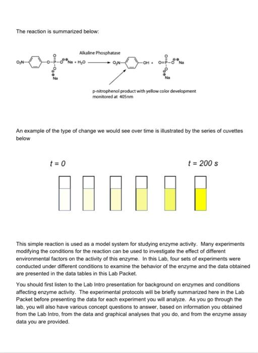 Solved Lab 8 SPECTROPHOTOMETRIC ANALYSIS OF ENZYME