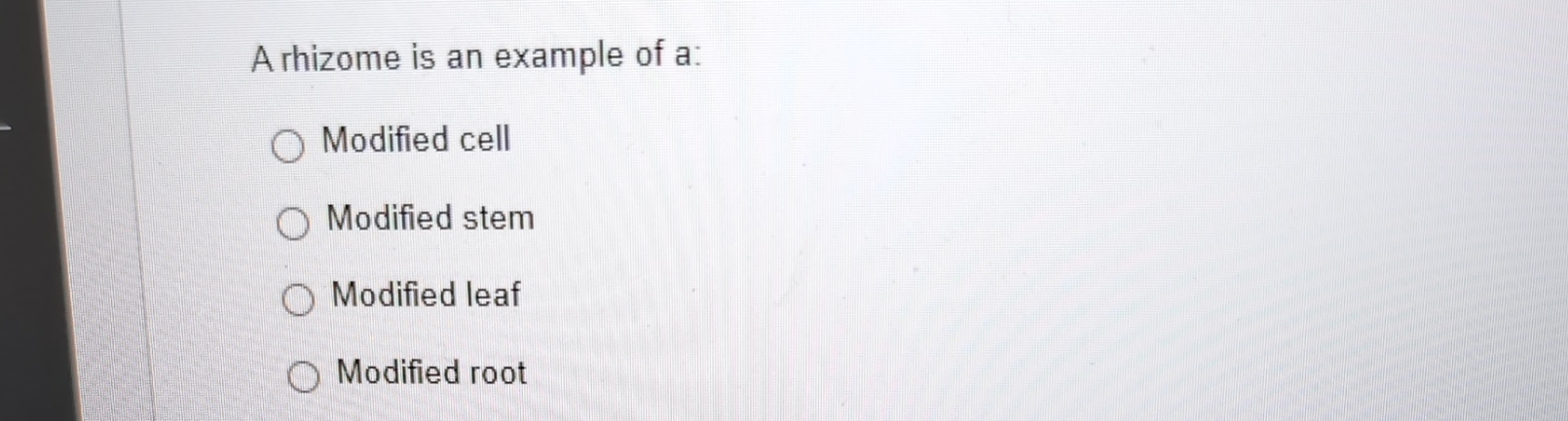 Solved A rhizome is an example of a:Modified cellModified | Chegg.com