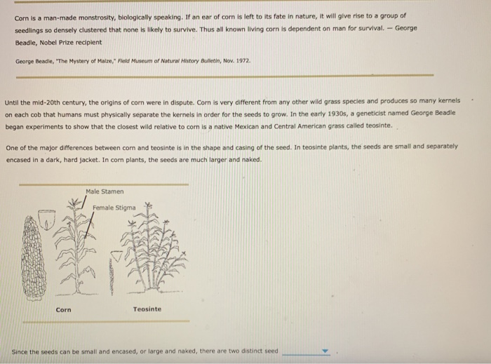 Solved Corn is a man-made monstrosity, blologically | Chegg.com