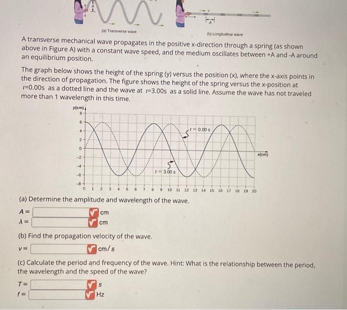 Solved A transverse mechanical wave propagates in the | Chegg.com