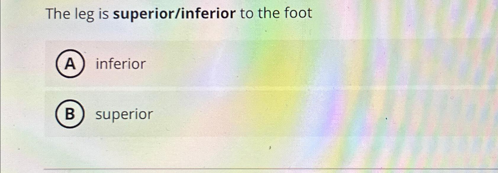 Solved The leg is superior/inferior to the | Chegg.com