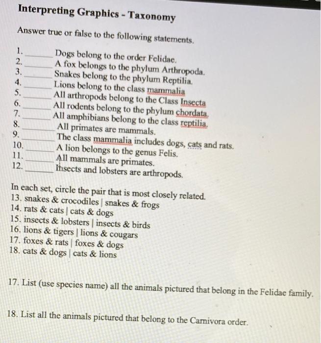 Birds of other lands, reptiles, fishes, jointed animals and lower forms; .  us *Vt6- rh„r k, ir. r. v^nd^, f.z.s. AMERICAN BULL-FROG Youn^ ducki are  icmetimes a food oj t/iis i-otaaous