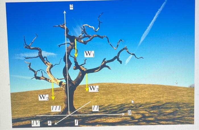 Solved When felling trees it is common practice to first | Chegg.com